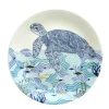 Animal Illustrative Series Wall Plate - Turtle