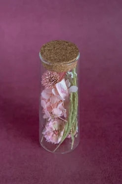 Aurora Natural Dried Flowers In Glass Tube With Cork Lid
