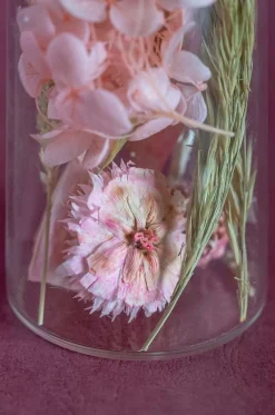 Aurora Natural Dried Flowers In Glass Tube With Cork Lid