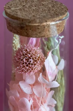 Aurora Natural Dried Flowers In Glass Tube With Cork Lid