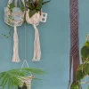 Besides You Macrame Knotted Planter Hanging