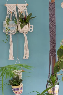 Besides You Macrame Knotted Planter Hanging