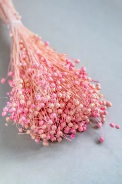 Blossoms Natural Dried Flowers Bouquet - 50Cm