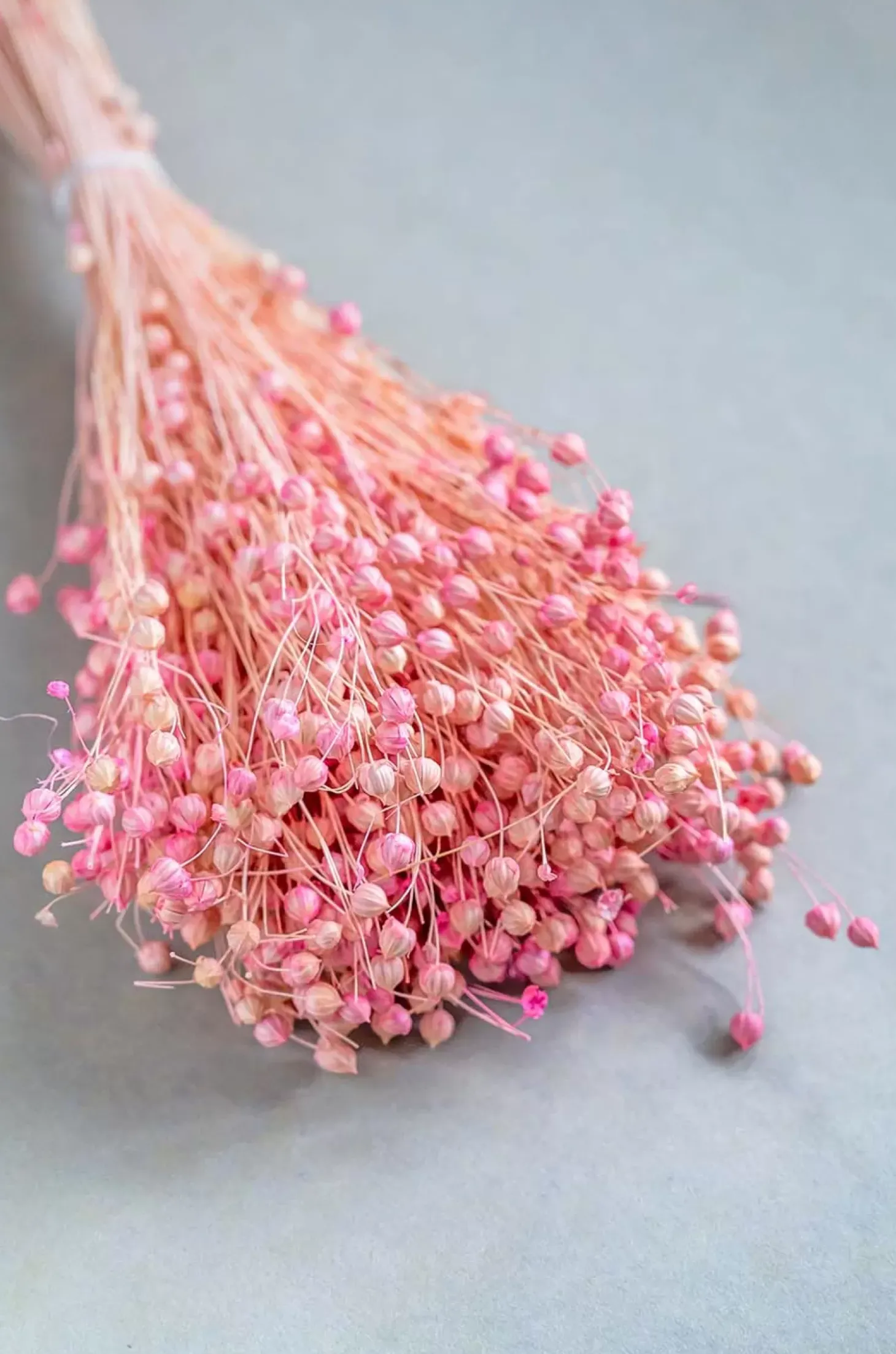 Blossoms Natural Dried Flowers Bouquet - 50Cm