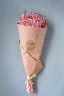 Blossoms Natural Dried Flowers Bouquet - 50Cm