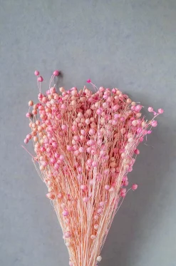 Blossoms Natural Dried Flowers Bouquet - 50Cm