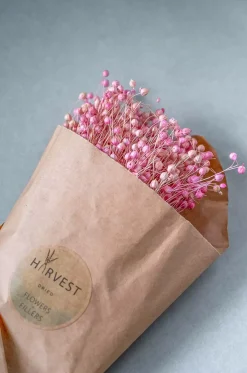 Blossoms Natural Dried Flowers Bouquet - 50Cm