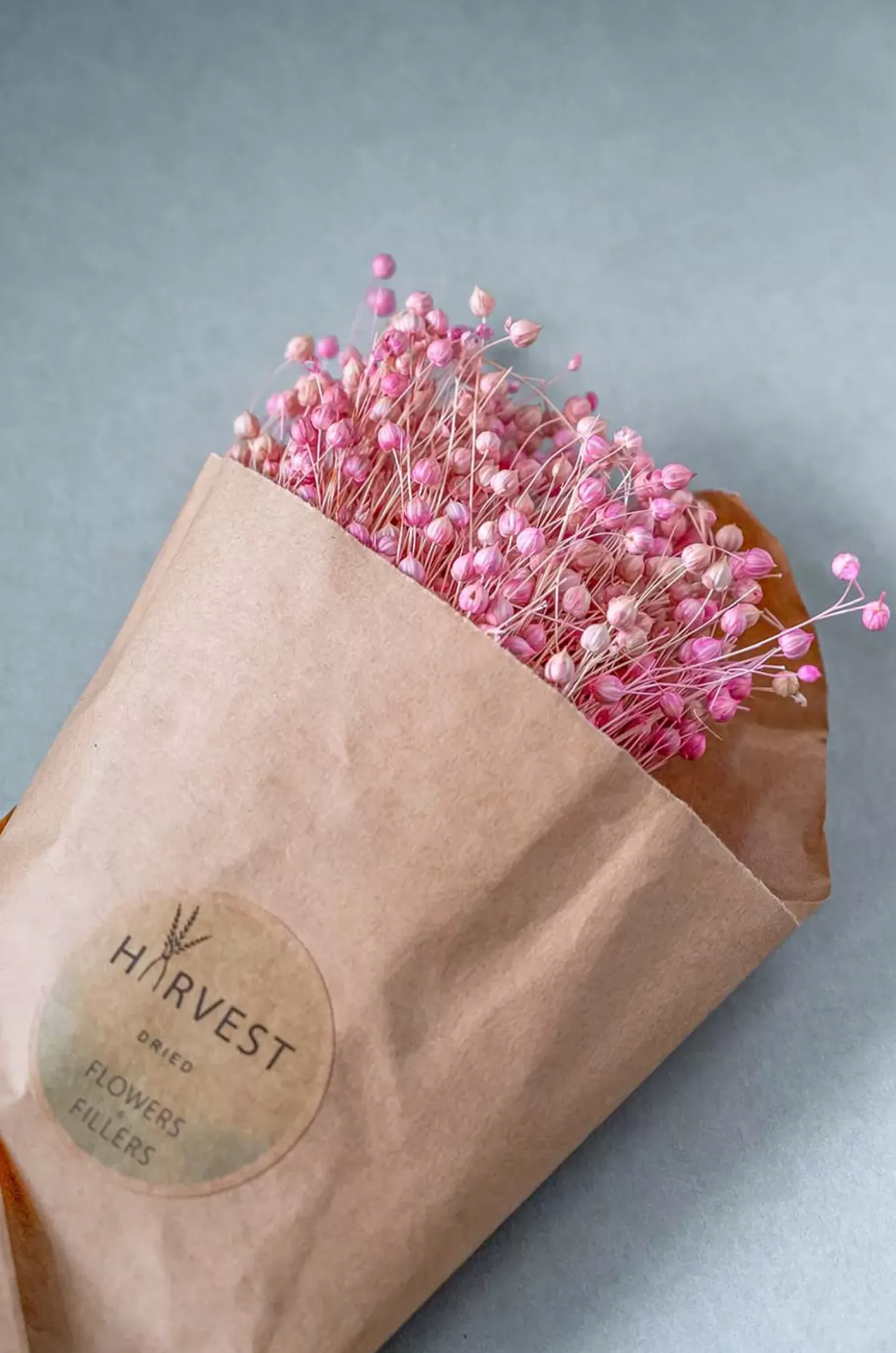 Blossoms Natural Dried Flowers Bouquet - 50Cm