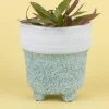 Enoki Ceramic Planter- Large