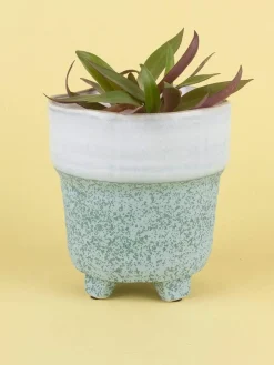 Enoki Ceramic Planter- Large