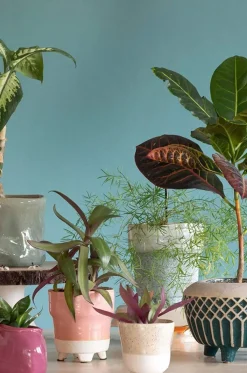 Enoki Ceramic Planter- Large