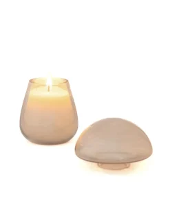 Figgy Soy Wax Glass Candle With Lid