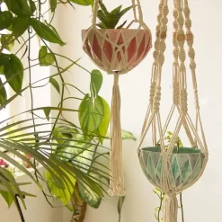 Harlequin Planter - Mint