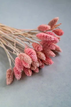 Harvest Natural Dried Flowers Bouquet - 50Cm