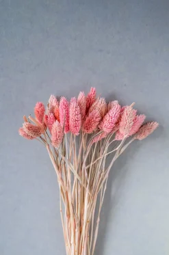 Harvest Natural Dried Flowers Bouquet - 50Cm