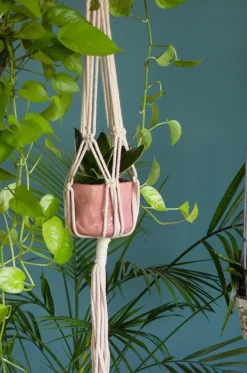 Knotted Planter Hanging