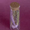 Lavenderia Natural Dried Flowers In Glass Tube With Cork Lid