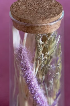 Lavenderia Natural Dried Flowers In Glass Tube With Cork Lid