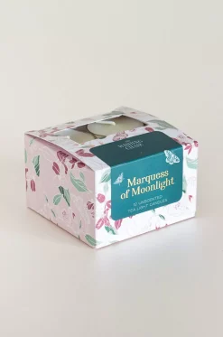 Marquess Of Moonlight Tea-Light Candle - Set Of 12