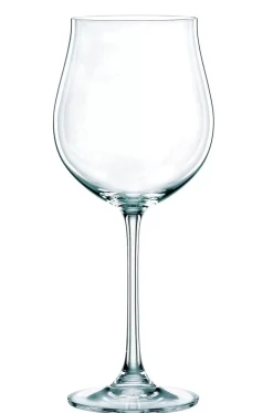 Nachtmann Vivendi Burgundy Set Of 6