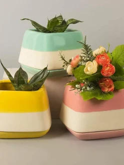 Nova Half N Half Ceramic Planter