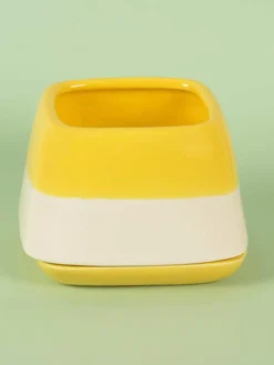 Nova Half N Half Ceramic Planter