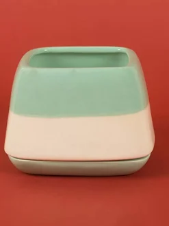 Nova Half N Half Ceramic Planter