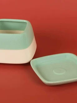 Nova Half N Half Ceramic Planter