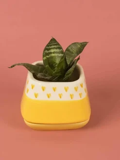 Nova Hearts Ceramic Planter
