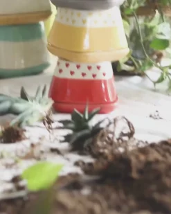 Nova Hearts Ceramic Planter