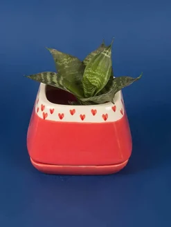 Nova Hearts Ceramic Planter