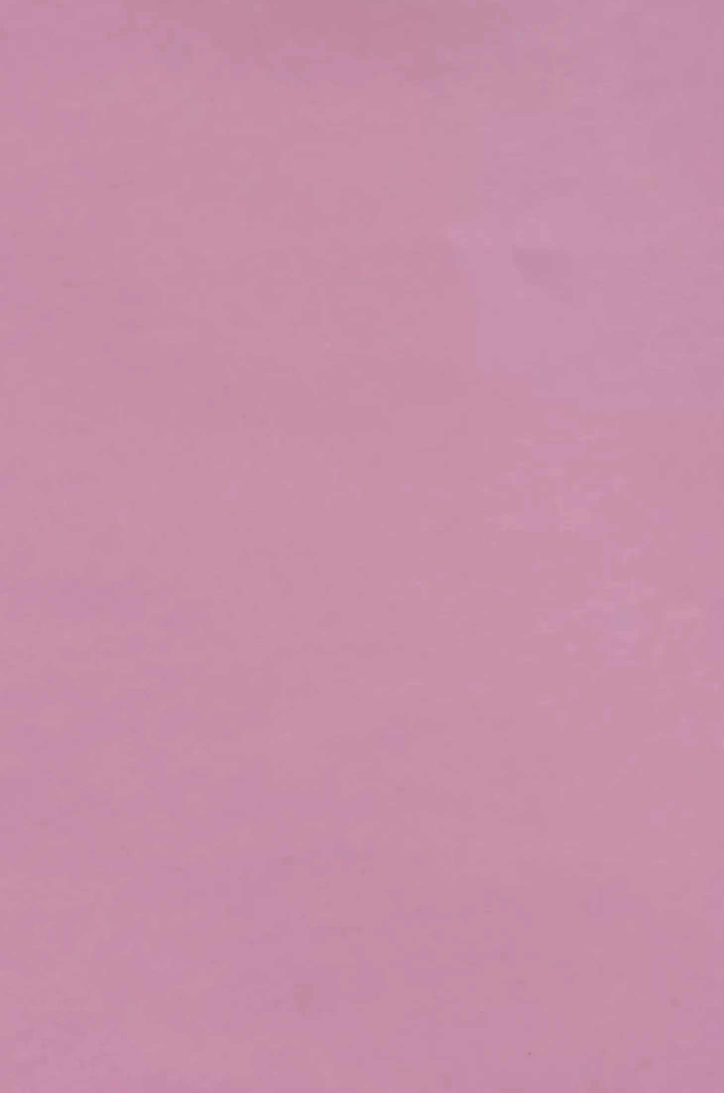 Poppy Petals Handpainted Spoon Rest