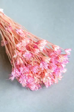 Serenique Natural Dried Flowers Bouquet - 50Cm