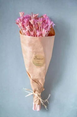 Serenique Natural Dried Flowers Bouquet - 50Cm