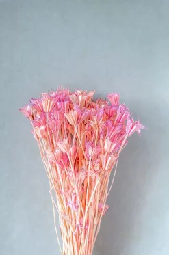 Serenique Natural Dried Flowers Bouquet - 50Cm