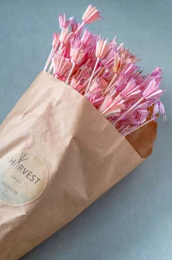 Serenique Natural Dried Flowers Bouquet - 50Cm