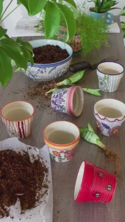 Stencil Planter- Lady Bug