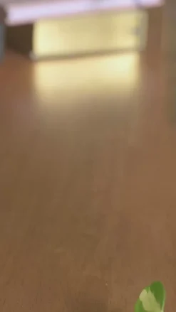 Top Dog Mama Fine China Mug