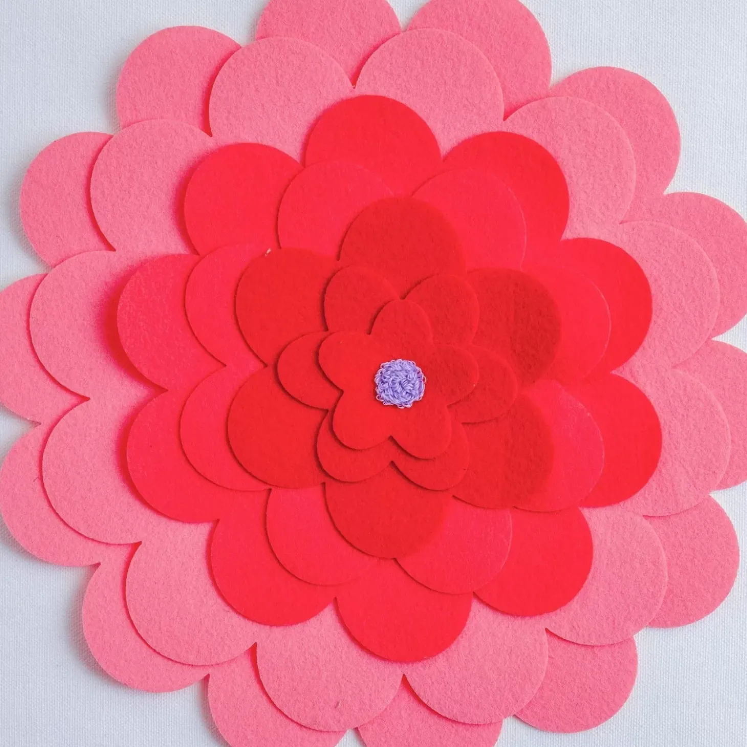 Zookeeper Doughnut A Day Storage Box