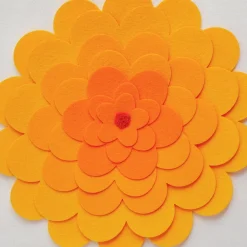 Zookeeper Doughnut A Day Storage Box