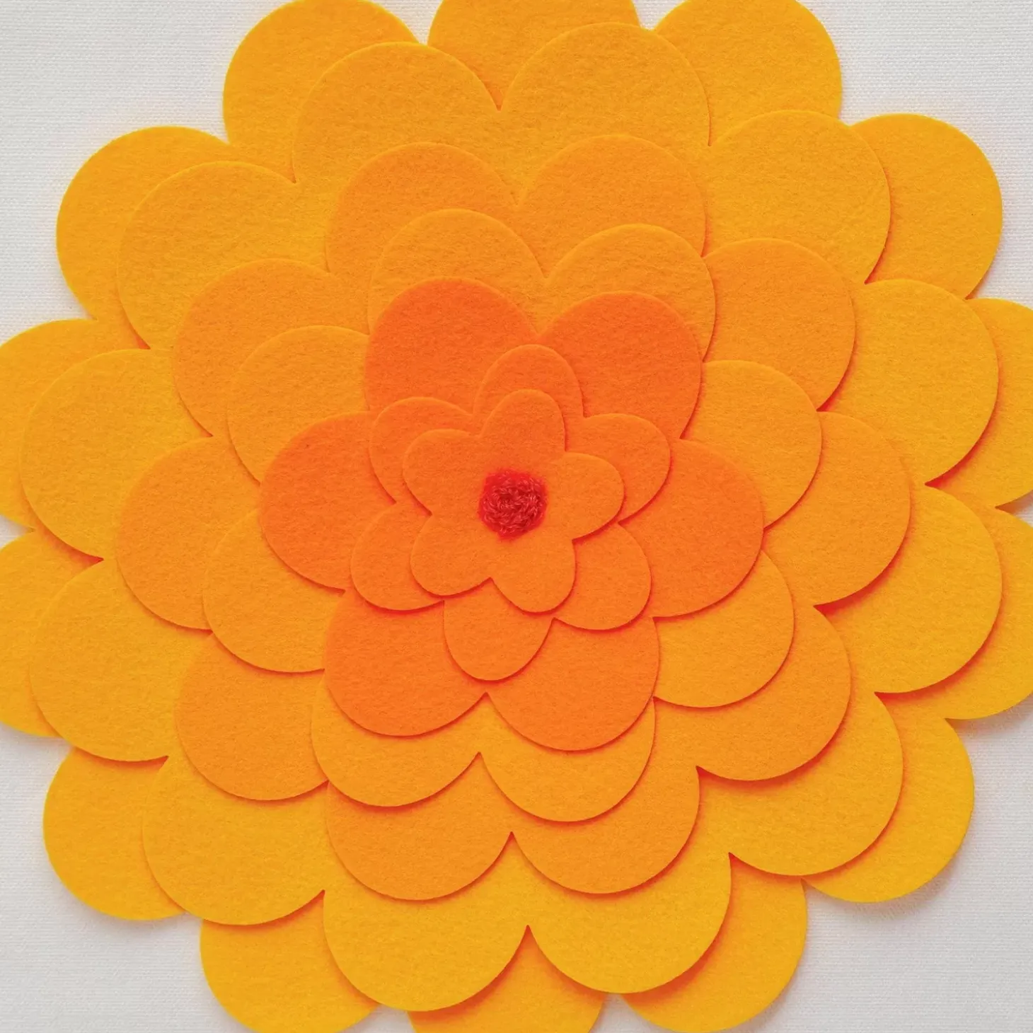 Zookeeper Doughnut A Day Storage Box