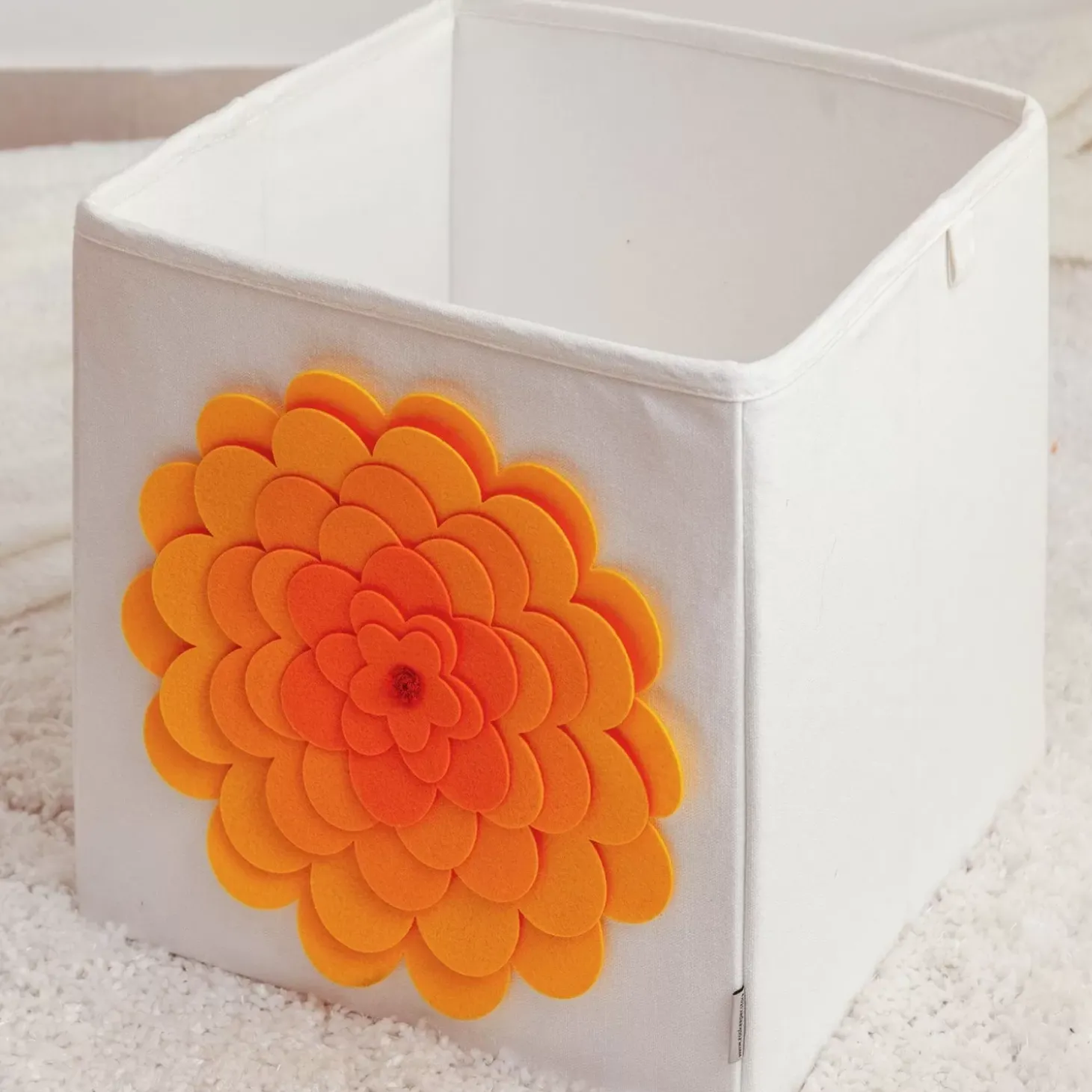 Zookeeper Doughnut A Day Storage Box