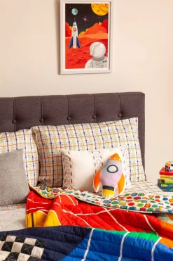 Zookeeper Ravi, The Race Car Driver Quilt